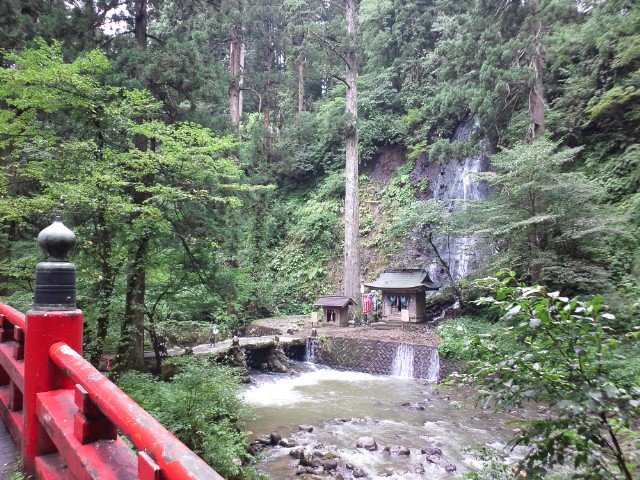 �܂邶��@�܂邶��@����܂���