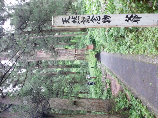 �܂邶��@�܂邶��@����܂���