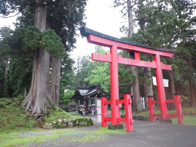 �܂邶��@�܂邶��@����܂���