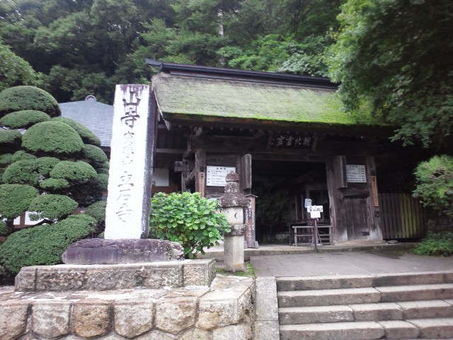 �܂邶��@�܂邶��@����܂���