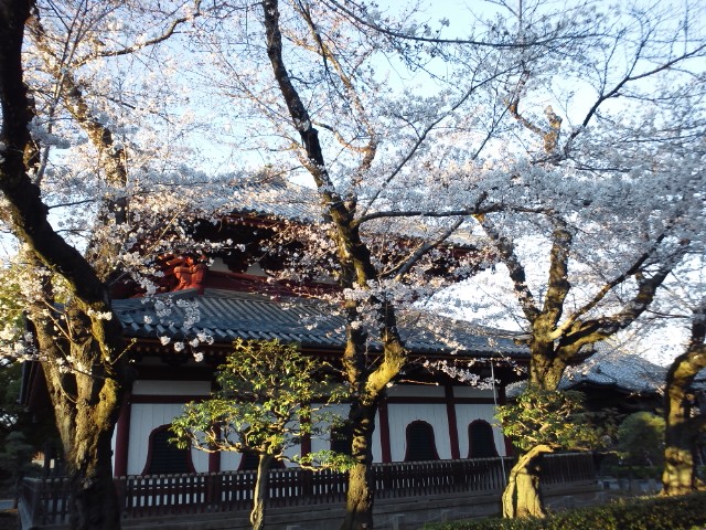 �܂邶��@�܂邶��@����܂���