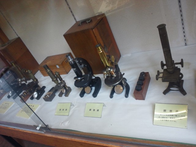 �܂邶��@�܂邶��@����܂���