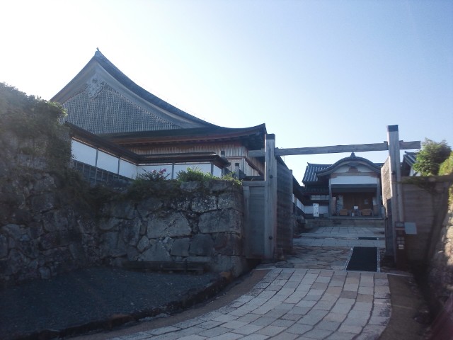 �܂邶��@�܂邶��@����܂���