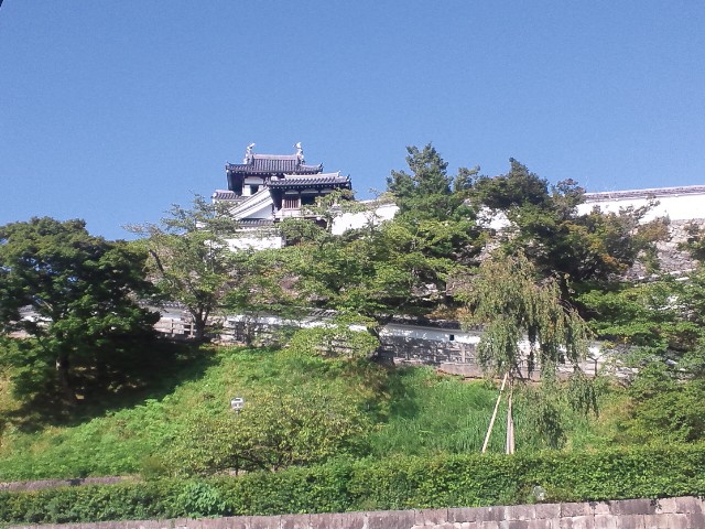 �܂邶��@�܂邶��@����܂���