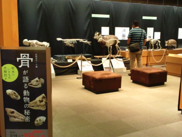 �܂邶��@�܂邶��@����܂���