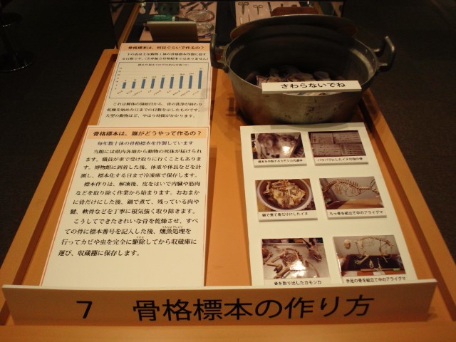 �܂邶��@�܂邶��@����܂���