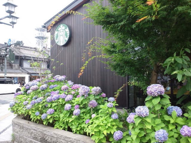 �܂邶��@�܂邶��@����܂���