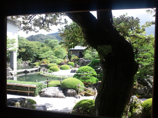 �܂邶��@�܂邶��@����܂���