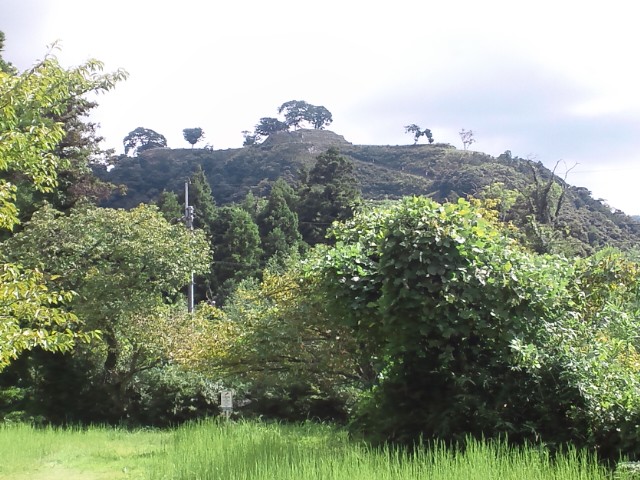 �܂邶��@�܂邶��@����܂���