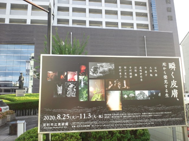 �܂邶��@�܂邶��@����܂���