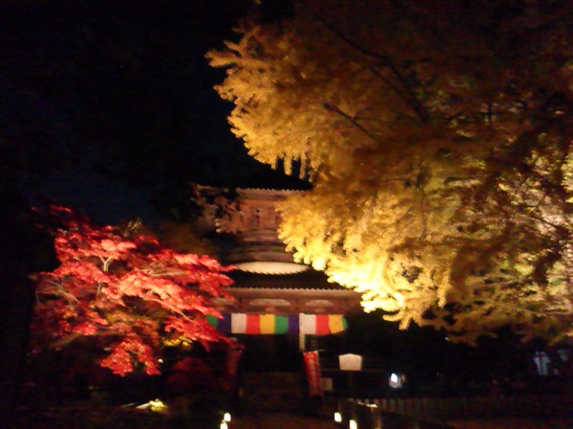 �܂邶��@�܂邶��@����܂���