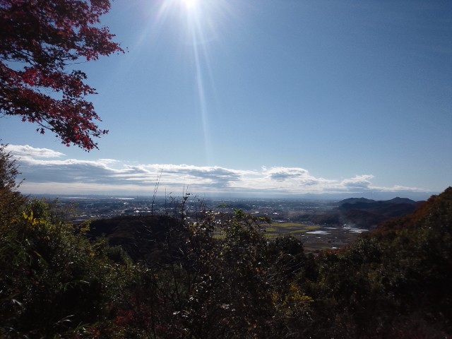 �܂邶��@�܂邶��@����܂���