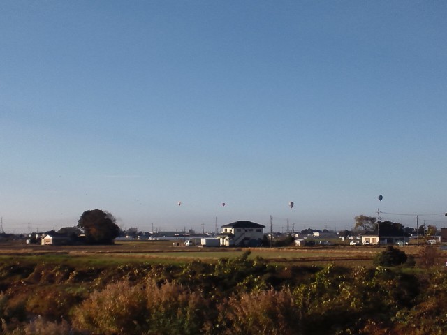 �܂邶��@�܂邶��@����܂���