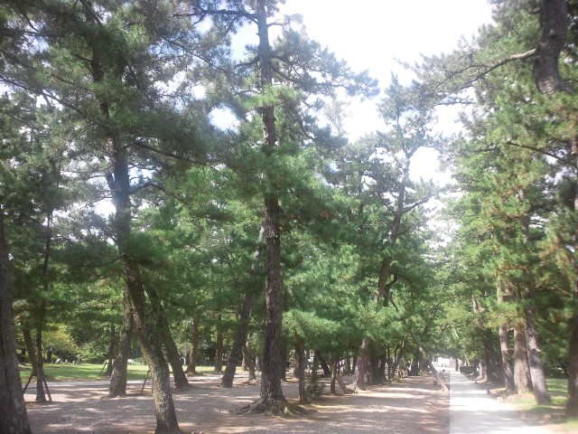 �܂邶��@�܂邶��@����܂���