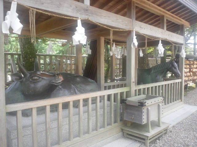 �܂邶��@�܂邶��@����܂���