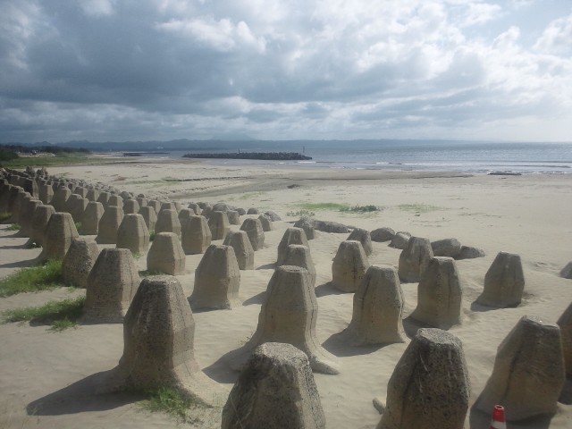 �܂邶��@�܂邶��@����܂���