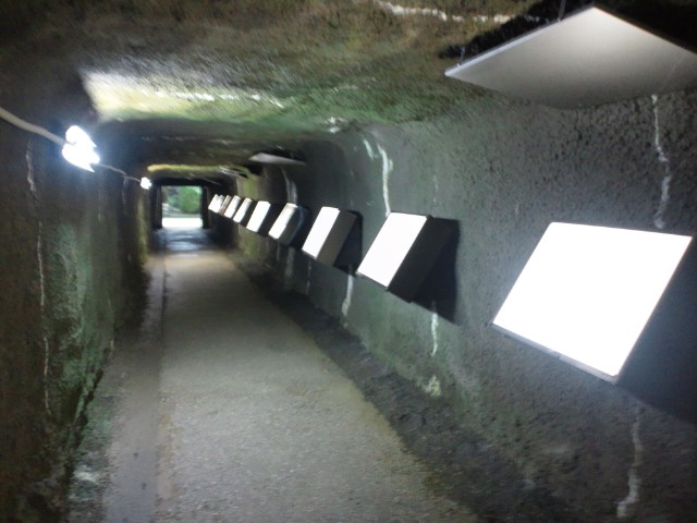 �܂邶��@�܂邶��@����܂���