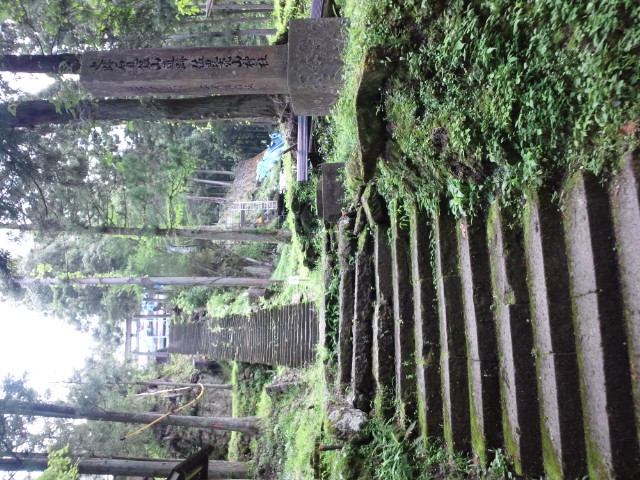 �܂邶��@�܂邶��@����܂���