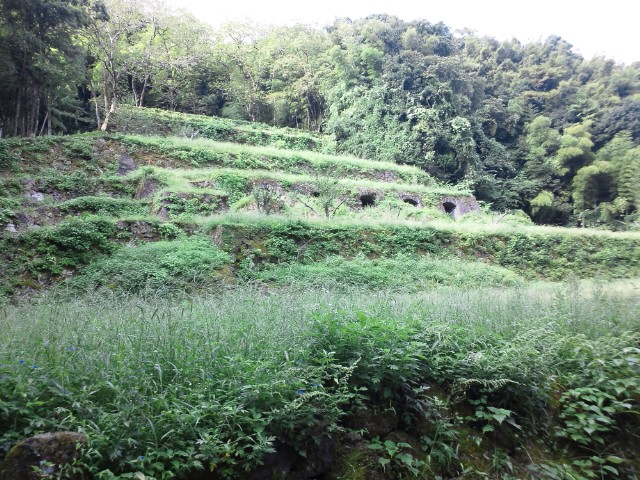 �܂邶��@�܂邶��@����܂���