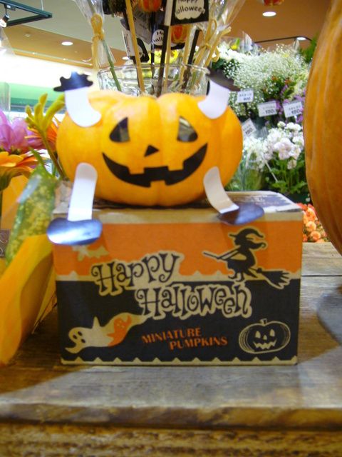 �܂邶��@�܂邶��@����܂���