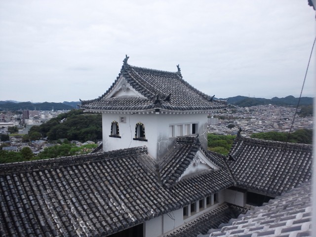 �܂邶��@�܂邶��@����܂���