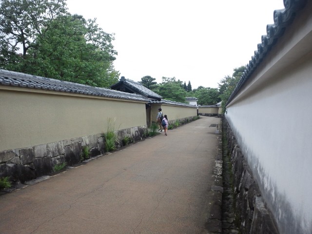 �܂邶��@�܂邶��@����܂���