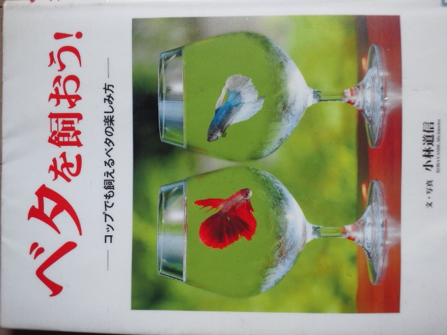 �܂邶��@�܂邶��@����܂���