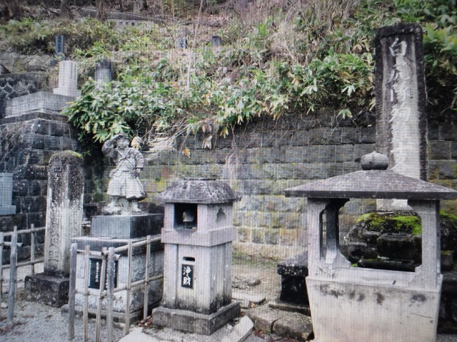 �܂邶��@�܂邶��@����܂���