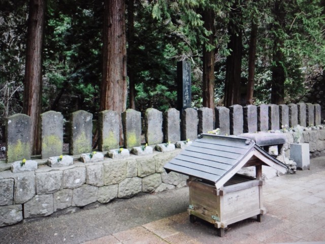 �܂邶��@�܂邶��@����܂���