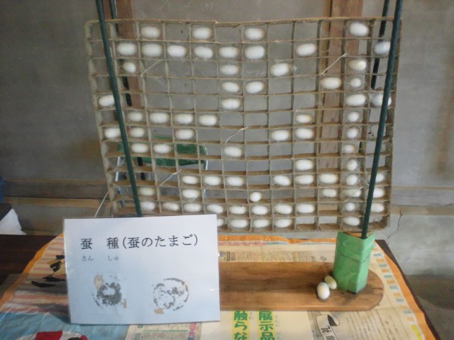 �܂邶��@�܂邶��@����܂���