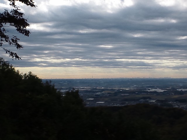 �܂邶��@�܂邶��@����܂���