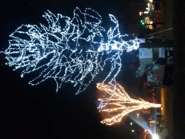 �܂邶��@�܂邶��@����܂���