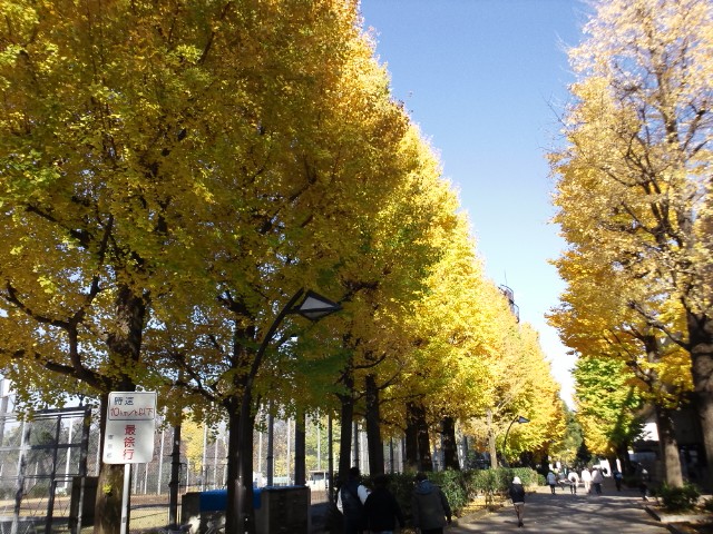 �܂邶��@�܂邶��@����܂���