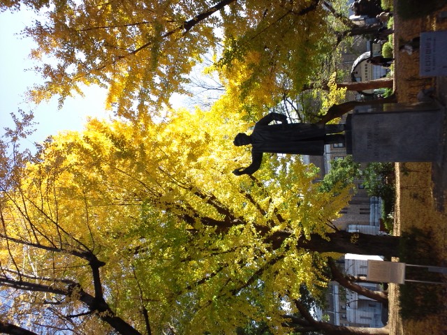 �܂邶��@�܂邶��@����܂���