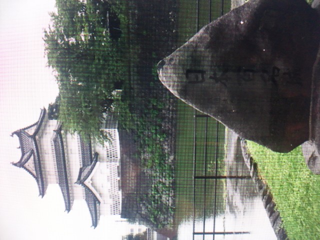 �܂邶��@�܂邶��@����܂���