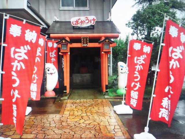 �܂邶��@�܂邶��@����܂���