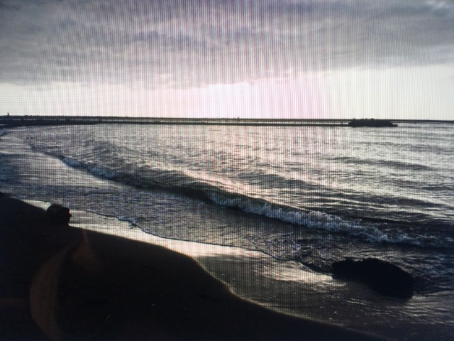 �܂邶��@�܂邶��@����܂���