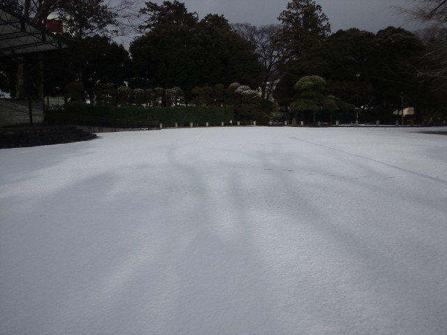 �܂邶��@�܂邶��@����܂���