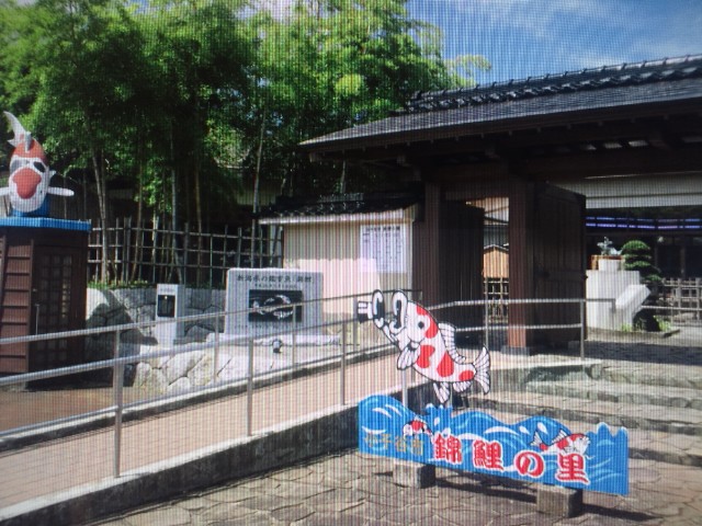 �܂邶��@�܂邶��@����܂���