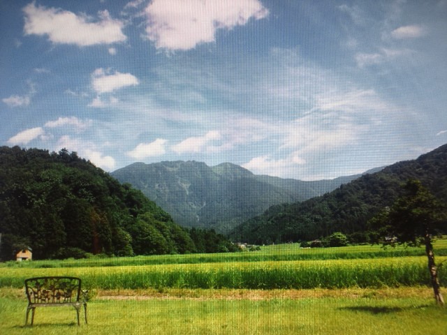 �܂邶��@�܂邶��@����܂���