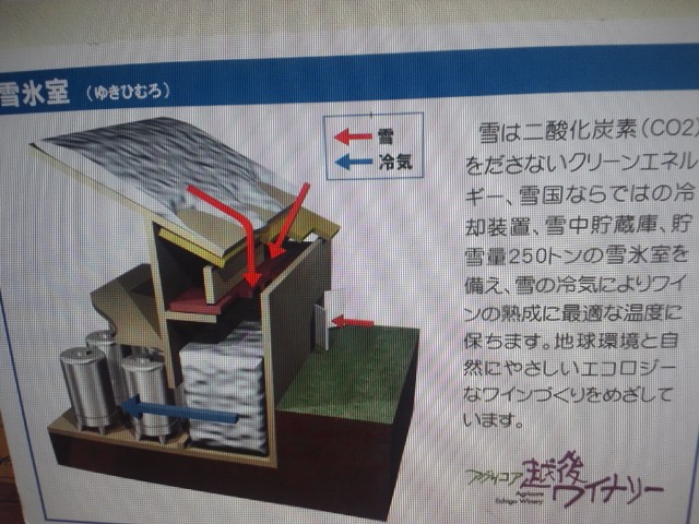 �܂邶��@�܂邶��@����܂���