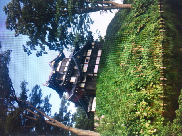 �܂邶��@�܂邶��@����܂���