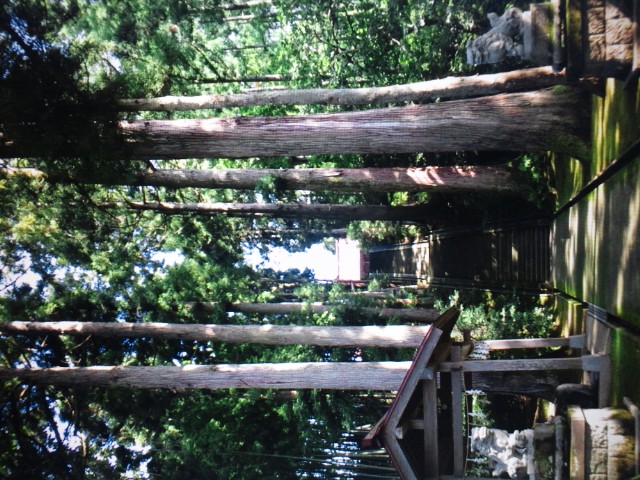 �܂邶��@�܂邶��@����܂���