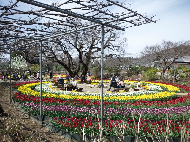 �܂邶��@�܂邶��@����܂���