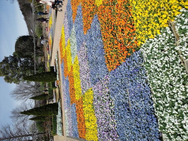 �܂邶��@�܂邶��@����܂���