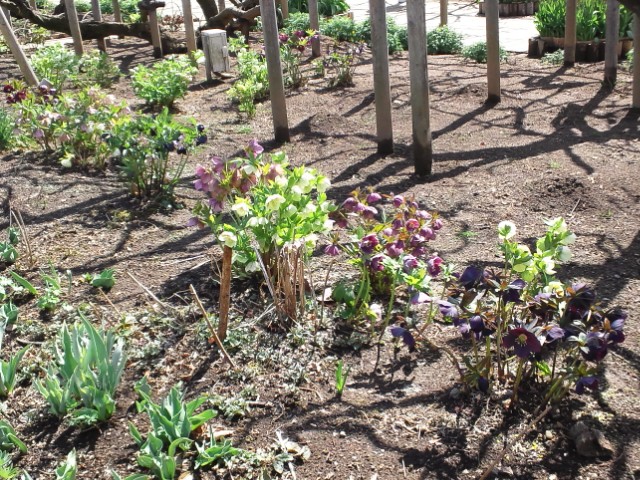 �܂邶��@�܂邶��@����܂���