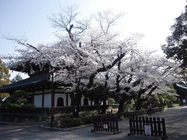 �܂邶��@�܂邶��@����܂���