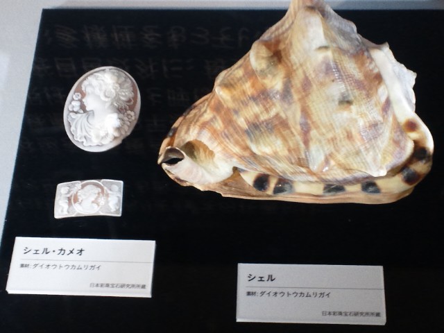 �܂邶��@�܂邶��@����܂���