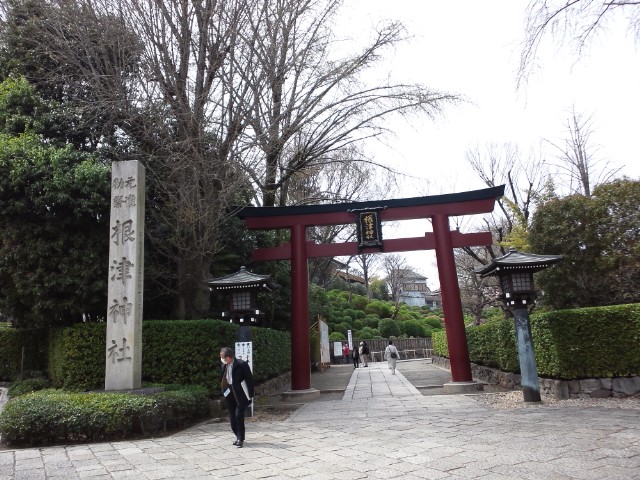 �܂邶��@�܂邶��@����܂���