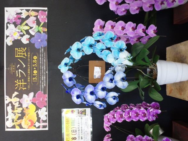 �܂邶��@�܂邶��@����܂���